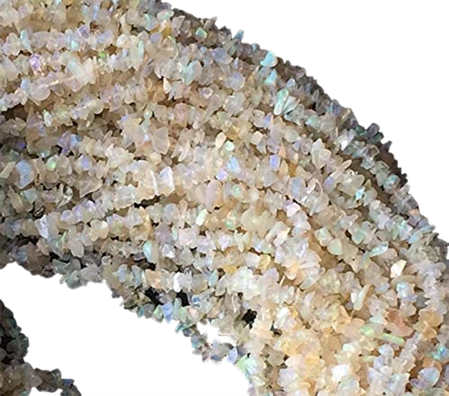 ct.1 PhotoRoom.png PhotoRoom.png