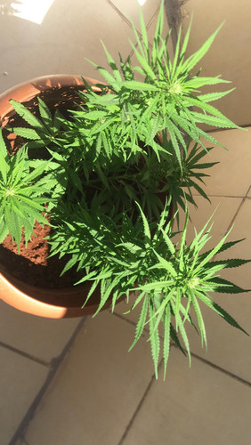 IMG 20220723 WA0010.jpg