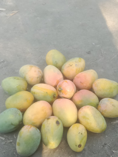 IMG 20230531 081443.jpg