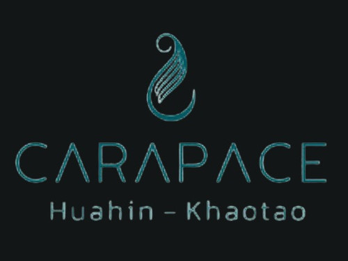 20220107 LogoProj dark.jpg