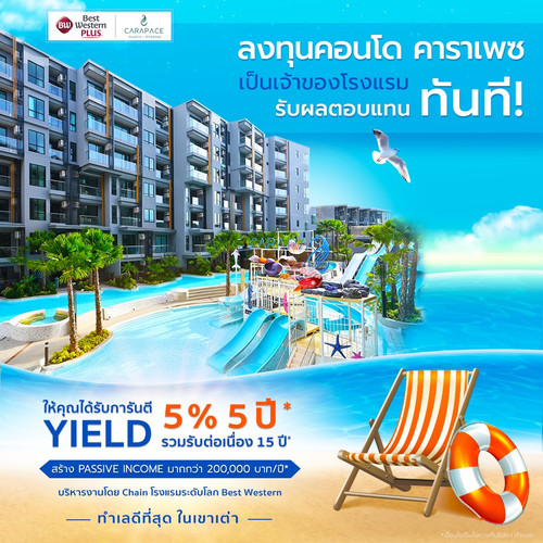 20230403 FBSingleImage Carapace 03(1).jpg