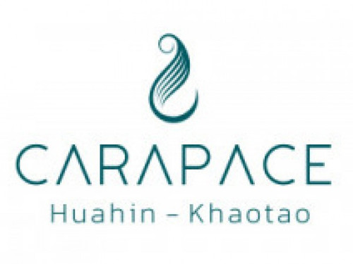 20220107 LogoProj.jpg