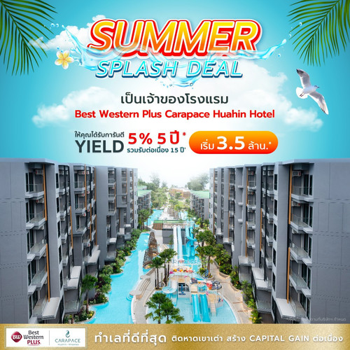 20230403 FBSingleImage Carapace 02(2).jpg