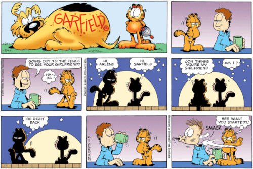 garfield 4 5 09.gif