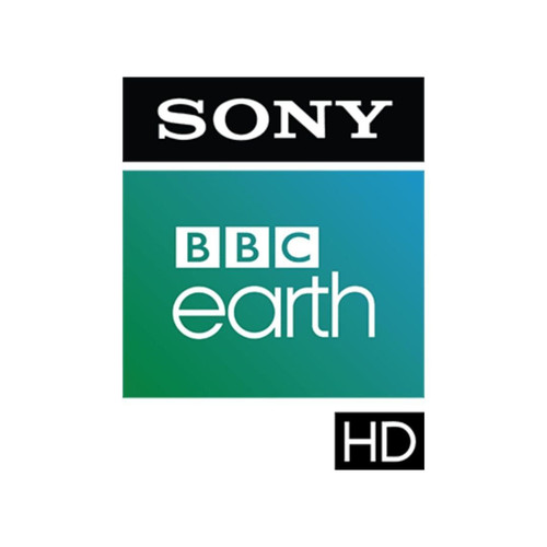 photo 6332204330878351004 y.jpg