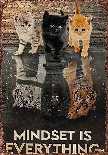 Mindset.jpg