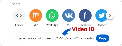 YTvideoID.webp