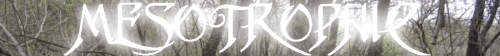 meso header.gif