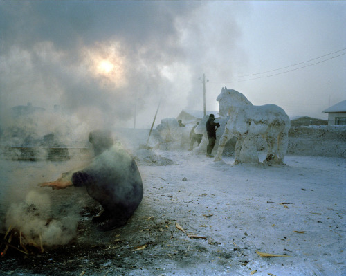 tumblr mqr5jubyQD1qgiyt6o1 500.png.jpg