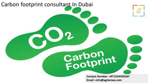 Carbon 17.jpg