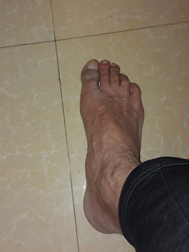 ٢٠٢٣٠٦٠٨ ١٧١٣٤٠.jpg