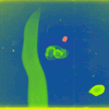 tumblr mkawiqr37u1s73uc3o1 500.gif