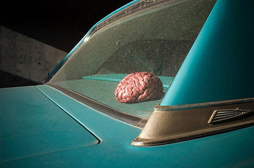 tumblr n81161y9Yy1rhhql5o1 640.jpg