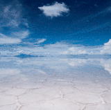 tumblr noz159iy7T1tq9q5vo1 500.gif