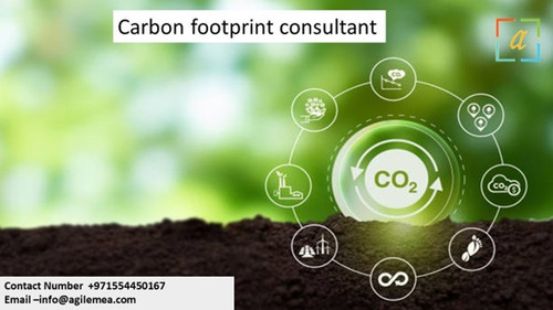 Carbon 14.jpg