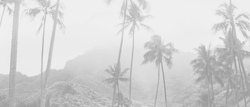 hawaii light.png