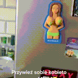 kot7.gif