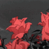 roses aesthetic.gif