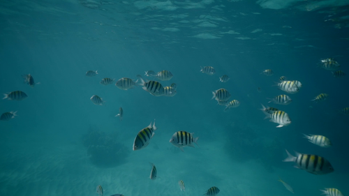 d58748a8df4f.png