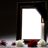 a1