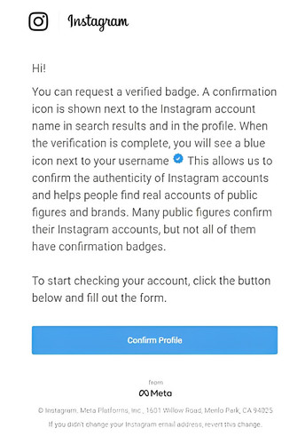Instagram Verification Email.jpg