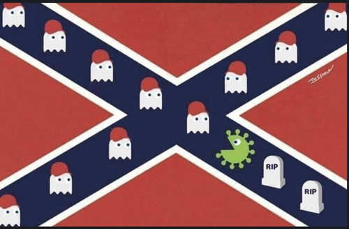 1686335440954.jpg