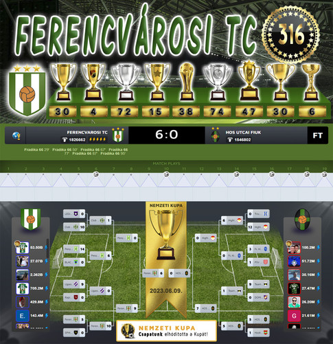 Nemzeti Kupa 133.Szezon Dönto (316.Kupa).jpg