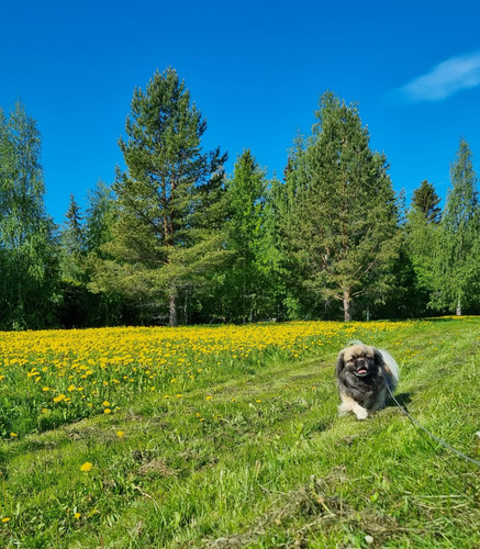 IMG 20230610 WA0002.jpg