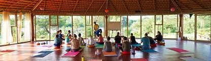 Yoga Teacher Training In India.jpg