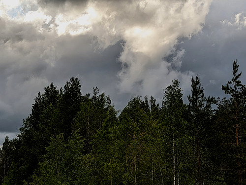 PXL 20230606 2.PORTRAIT