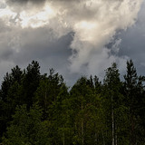 PXL 20230606 2.PORTRAIT