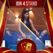 idn4 stand.gif