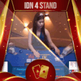 idn4 stand