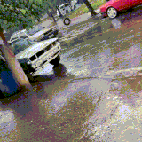 avto2.gif
