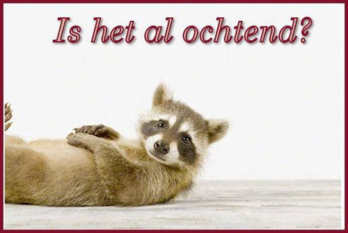 14590484 592671744191287 3883873607253773427 n.jpg