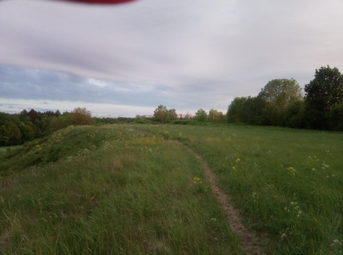 a02.jpg