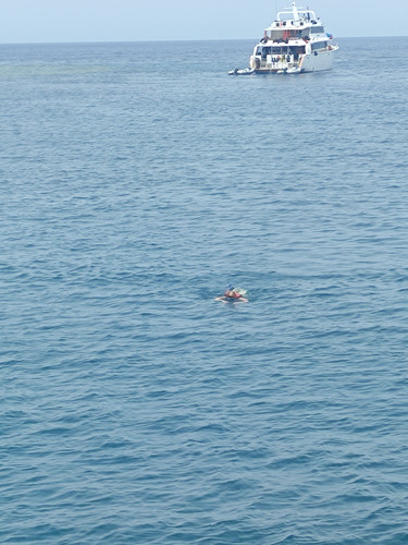 IMG 20230608 133017.jpg