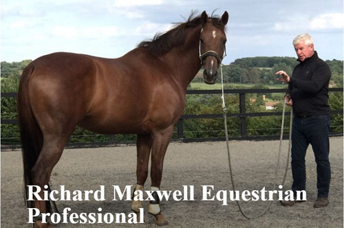Equestrian Trainers | Richard Maxwell Equestrian Professional.jpg