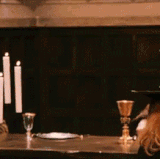 ElderlyBestHeterodontosaurus size restricted.gif