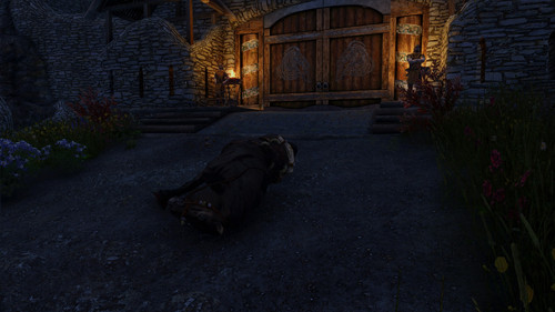 Horse Died.jpg