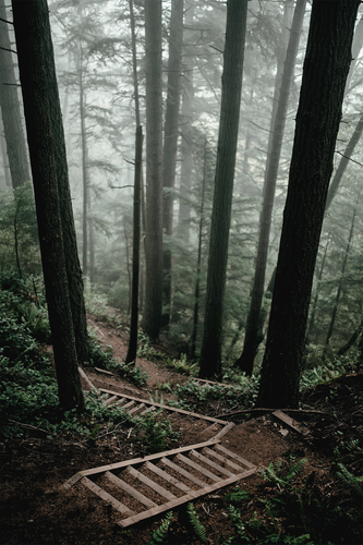 Commercial Photo (10).png
