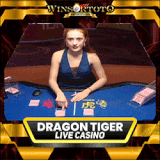 dreagon tiger.gif