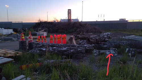 photo 2023 06 08 04 33 25.jpg