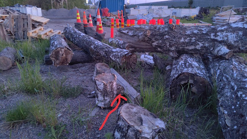 photo 2023 06 08 04 33 10.jpg