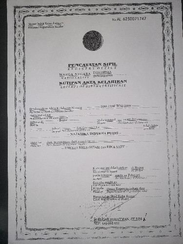 scaled 1008e4dc b5c7 4bdd aa49 43047bf5fc052973649846764497785.jpg