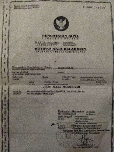 scaled a8d41479 dbfd 473f bea5 a56765c1ae213663221006536376682.jpg