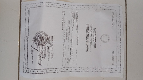 scaled 5beb7d6f 4351 4a3e aac5 9b7febc9f8b75234341935094519656.jpg