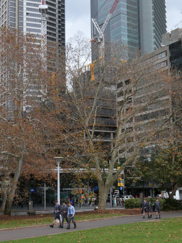 P1000275.jpg