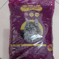 e70a680d2c2e.png