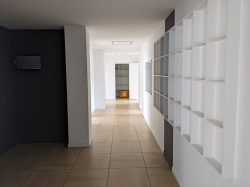PXL 20230329 090406236.jpg